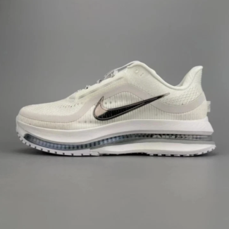 Nike Air Zoom Pegasus Premium Metallic silver Men's Athletic Sneakers Sports Shoes US Size 8-12